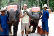 Elephant Show